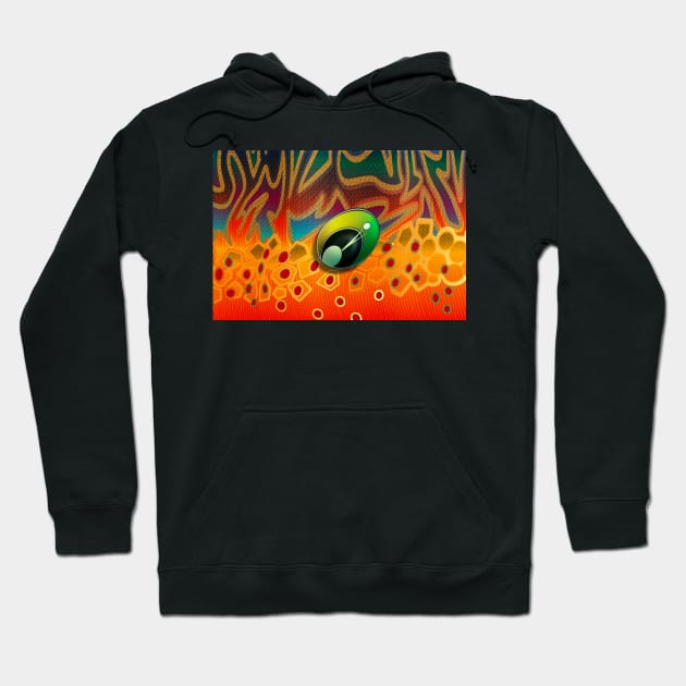 Brook Trout Eye Hoodie by MikaelJenei